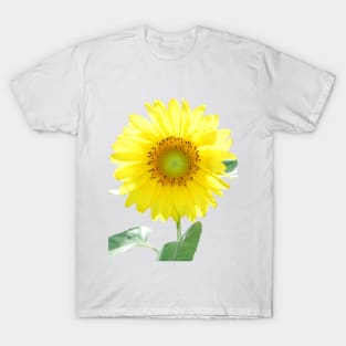 Sunflower T-Shirt